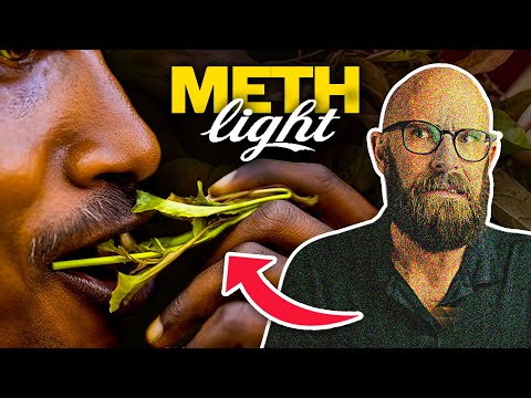 Khat: The Latest Drug Crack Down