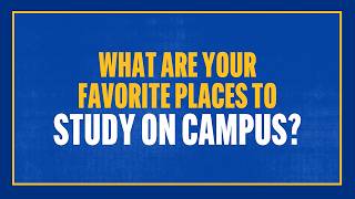Where to study at Pitt