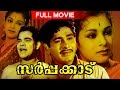 Evergreen Malayalam Movie Sarppakkadu Full Movie Ft Madhu Sukumari Ambika