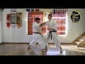 1 Taikyoki Shodan Bunkai