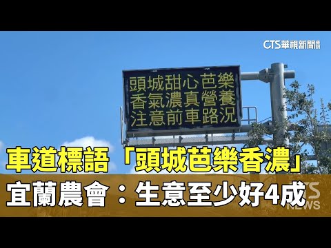 車道標語「頭城芭樂香濃」　宜蘭農會：生意至少好4成