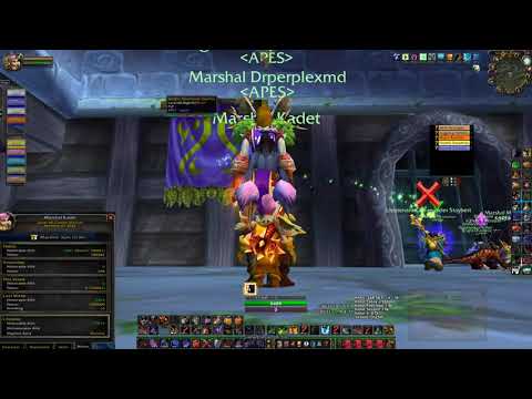 Highlight: Kadet/Cadet from APES - warrior ranking 30th January session 1 (Warsong Gulch)