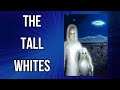 Tall White Aliens At Nellis Air Force Base