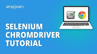 Selenium ChromDriver Tutorial | Selenium Chromedriver Setup | Selenium