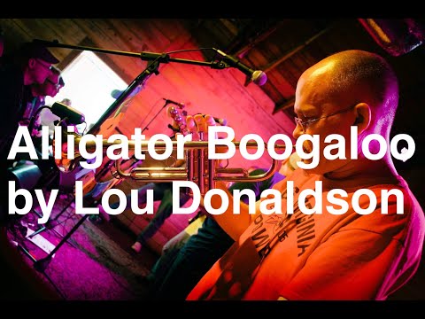 Live Trumpet Improv on 'Alligator Boogaloo' by Lou Donaldson