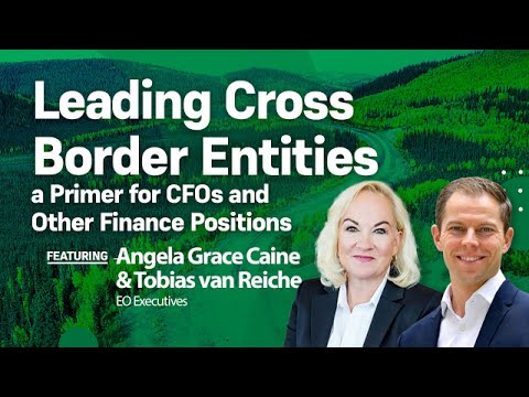 Leading Cross Border Entities – a Primer for CFOs and Other Finance Positions