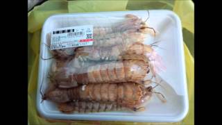 Download lagu ニコニコ転載　エビはシャコに似ている 　君は僕に似ている 替え歌 mp3