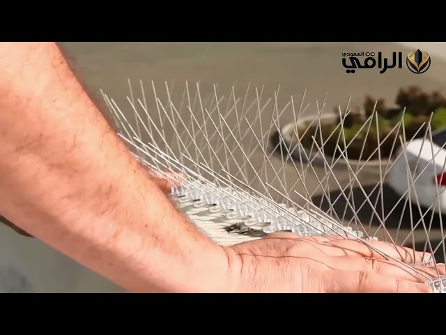 شركة تركيب طارد حمام بحفر الباطن