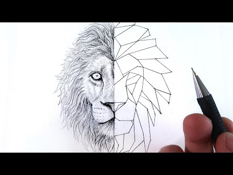 Comment dessiner un Lion style : géométrique ☯ (TUTO) ☯