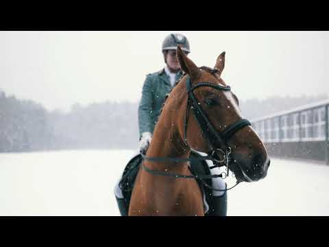 Trailer Hengstvorführungen 2021