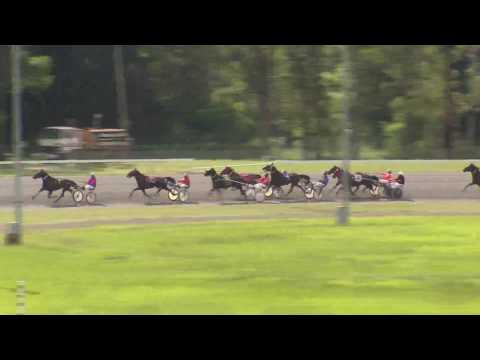FAIRFIELD - 17/04/2017 - Race 1 - YAMAMOTO TROTTERS HANDICAP