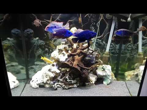 Watch Video on YouTube