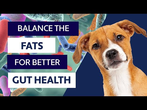 Balancing Fats In The Raw Food Diet