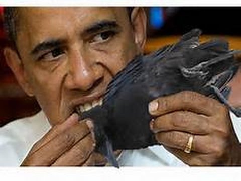 OBAMA EATS CROW said TRUMP won't Bring back Jobs or stop Jobs from leaving December 2 2016 Video