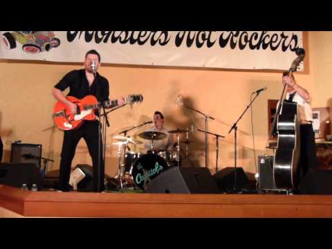 Tyler hart trio - 3ème Rockabilly party Thilouze 2014
