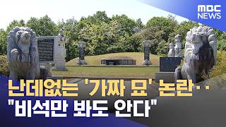 난데없는 '가짜 묘' 논란‥"비석만 봐도 안다" (2026.06.15/뉴스투데이/MBC)