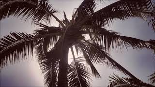 BØRNS - Tension (Interlude) West Coast Wanderlust Extended Version