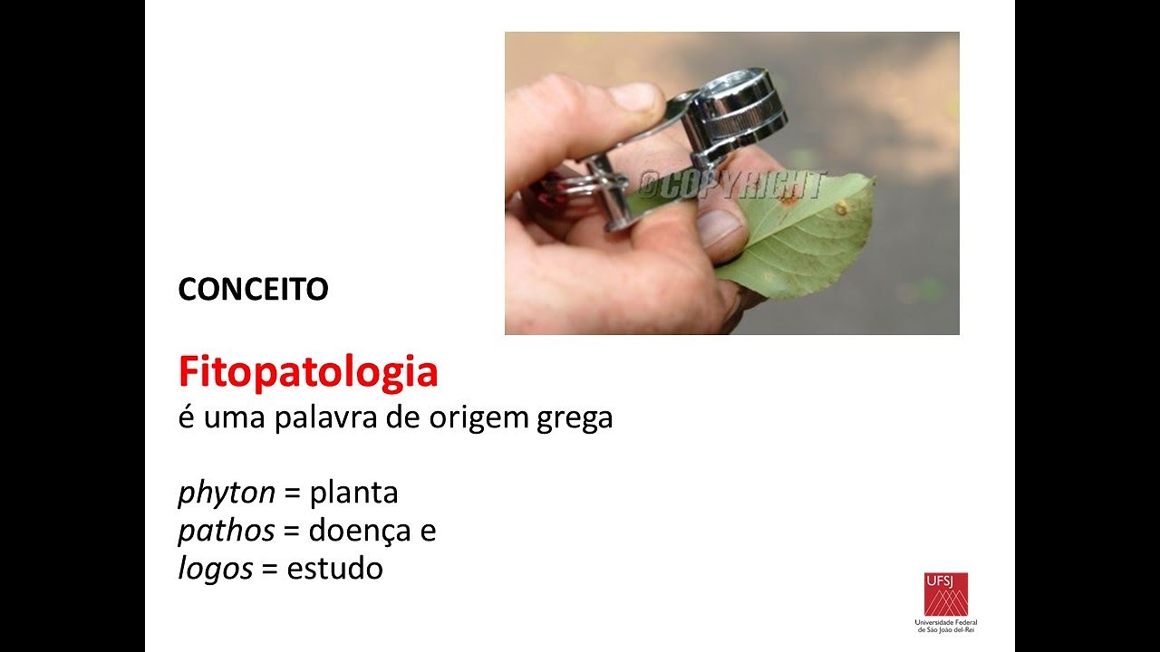 Aula Importância Fitopatologia (disciplina FITOPATOLOGIA GERAL - UFSJ)