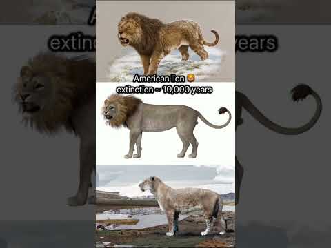 Top 5 cats that went extinct 🦁💔🕊️ #miahmooooo #cats #miahmooooo