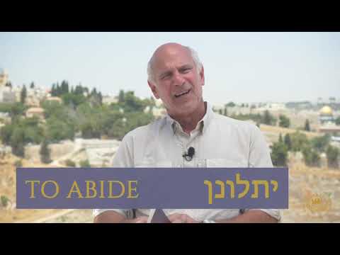 Learn Hebrew! Hebrew Gem of the Day "To Abide"