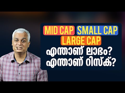 Mid Cap, Small Cap, Large Cap What is Profit What is Risk | Profit vs. Risk