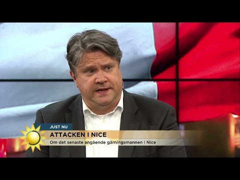 Terrorexperten: "Det finns en röd tråd i galenskaperna" - Nyhetsmorgon (TV4)