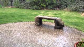 Thunder Lightning Storm Grass Valley CA Easter 2013