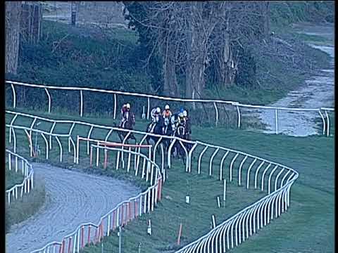 Galoppo 08/01/2020 - 3ª corsa