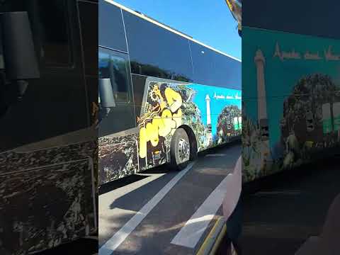 Trem Tchou Tchou Noumea Tour