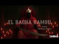 Maallem Mohamed Montari Bacha Hamou Lhoumer المعلم محمد مونتاري الباشا حمو