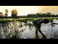 Ancient Water Tanks Of Sri Lanka To Adapt To A Changing Climate