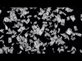Dollar Money Rain Stock Motion Graphics