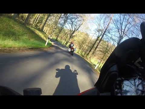 Multistrada Enduro 1260 and 1260S in the Eifel 1