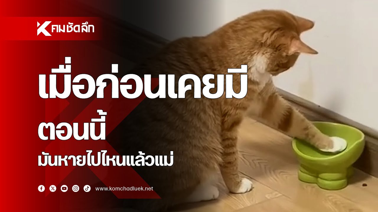 เมื่อก่อนเคยมี ตอนนี้มันหายไปไหนแล้วแม่