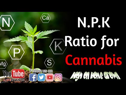 What is NPK and How Does it Work | Cannabis News & Events | @HighonHomeGrown Episode 127