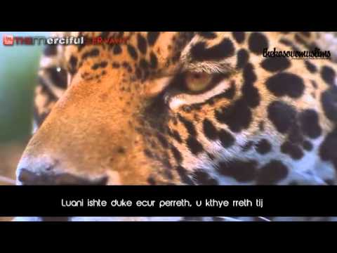 Frika ndaj Allahut ne namaz !!