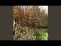 The Lonely Hunter (feat. Alison Mullan-Stout, Blake Propst & Joshua Dekaney)