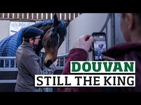Douvan's new life after racing | Cheltenham Hero
