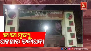 କନ୍ଧମାଳ ବାଲିଗୁଡ଼ା ରେଂଜ୍ ବେଲଘର ବନାଞ୍ଚଳରେ ହାତୀ ମୃତ୍ୟ?