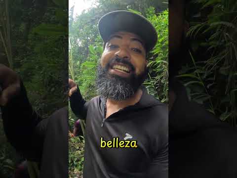 cascada el encanto vereda la feria pradera valle del cauca