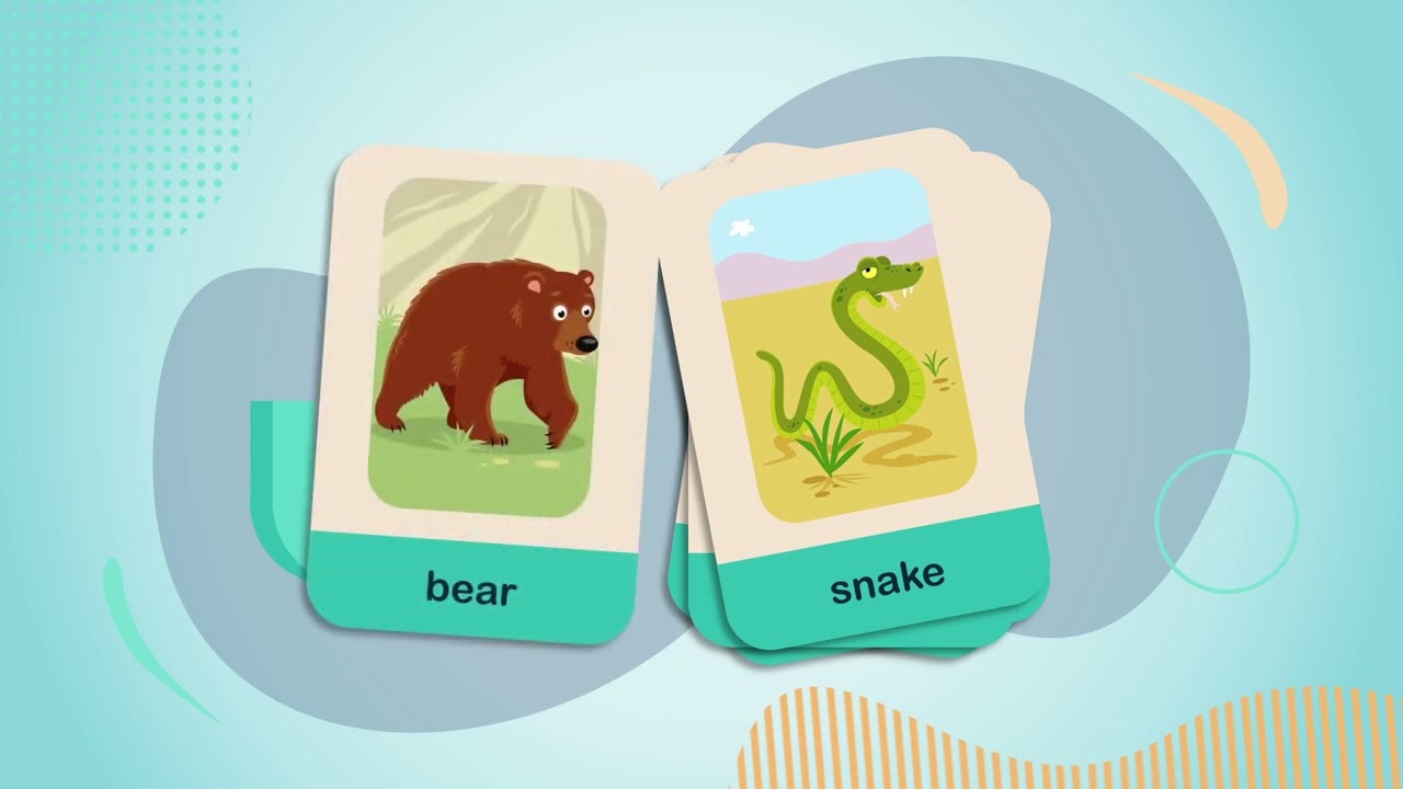 Wild Animals for Kids Flashcards Super Minds 2 Unit 2 Vocabulary