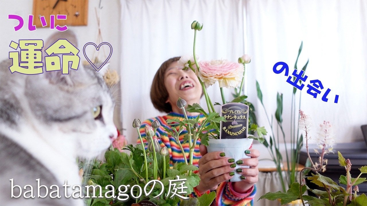 babatamagoの庭/【レア品種】これだから暴走やめられません