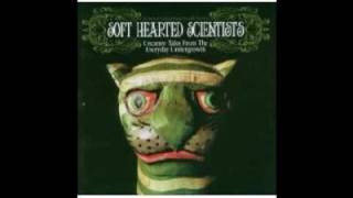 Soft Hearted Scientists - Mount Palomar