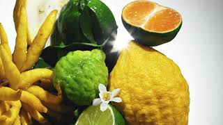 Balmain Blanc Galaxie Eau de Parfum