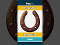 horseshoe - herradura video thumbnail