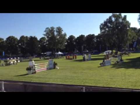 Pferd International 2014 - 2.