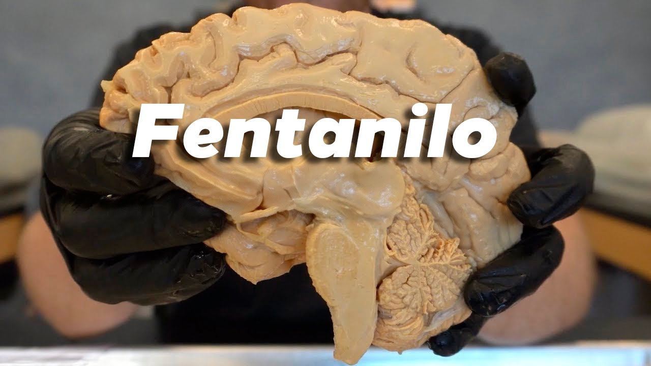 ¿Por qué el FENTANILO es INCREÍBLEMENTE peligroso