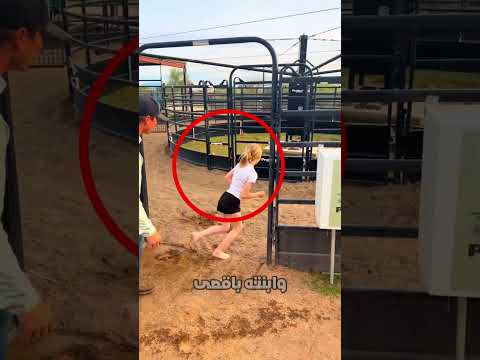 حجم الكلب الصغير أنقذه! 😱