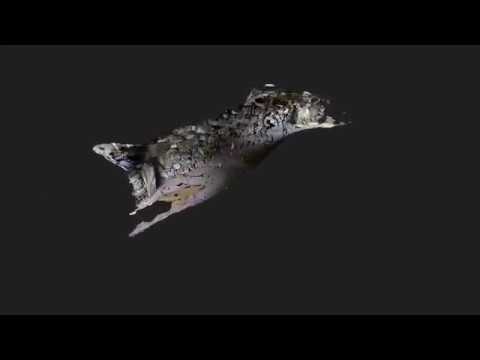 The fogou at Carn Euny Iron Age settlement, near Sancreed, Penzance, managed by English Heritage