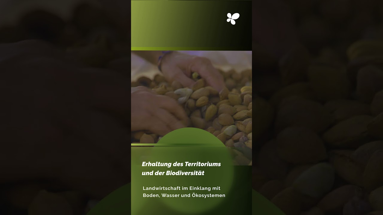 Unterstützung neuer Bio-Hersteller auf den Balearen durch öffentliche Beihilfen